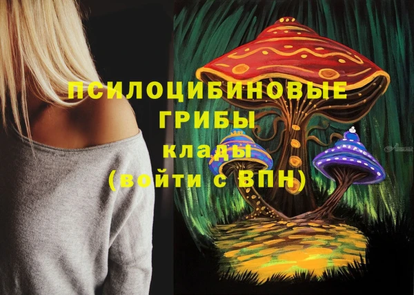 apvp Лиски