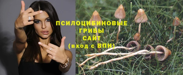 бутират Липки