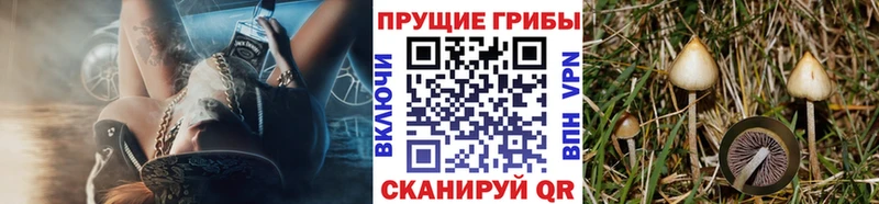 Галлюциногенные грибы мицелий Ермолино